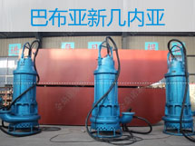 110千瓦潛水抽砂泵，漂洋過海到巴新
